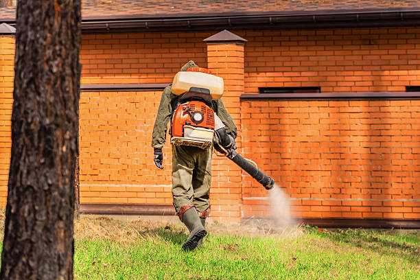 Trusted Bed Bug Control service in Mount Ayr, IA - Nex Pest Control